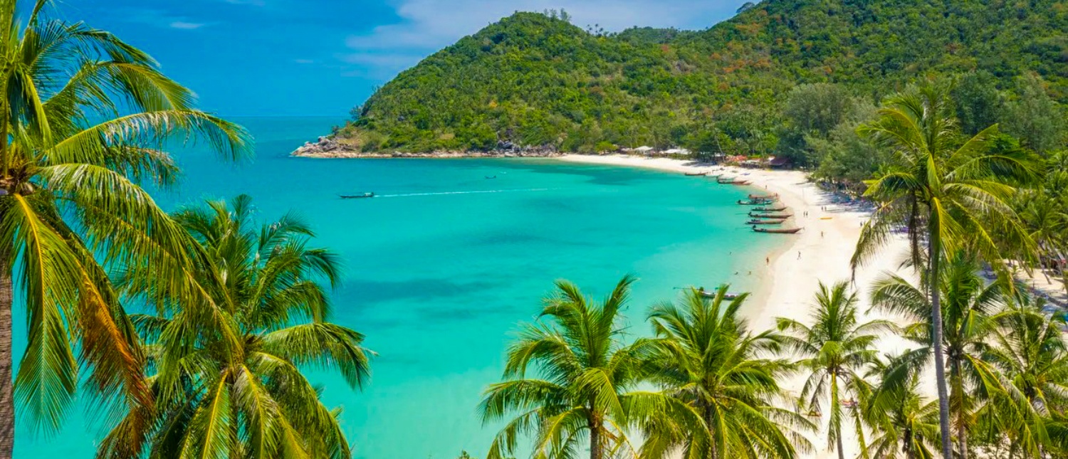 Lush palm trees frame a stunning turquoise bay with white sand beach on Koh Phangan.