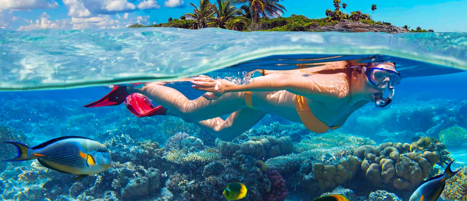 Person snorkeling in clear blue waters of Koh Samui, surrounded by coral and tropical fish.