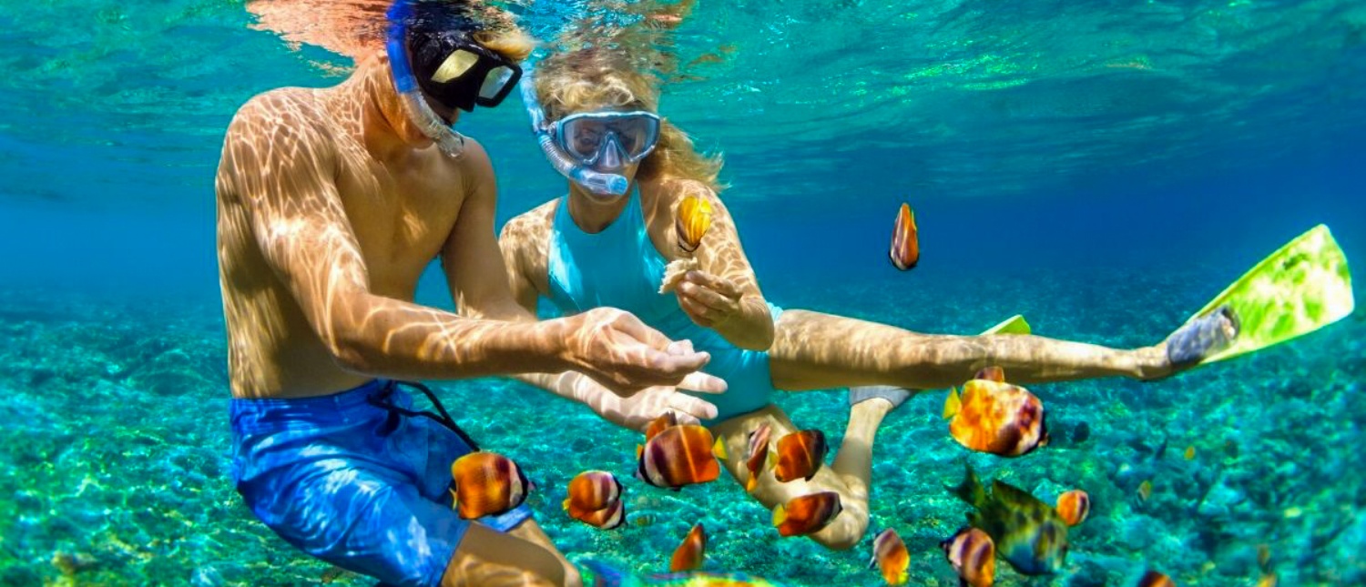 A happy couple snorkeling with vibrant clownfish in the clear turquoise waters of Koh Tao.