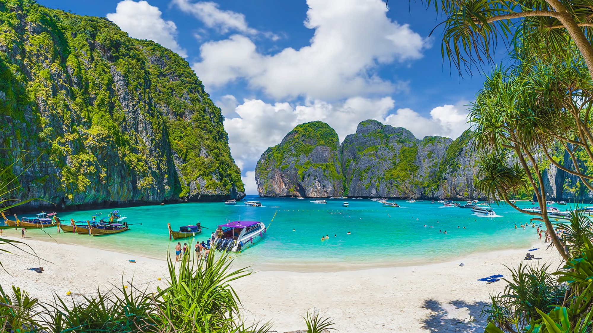 Beautiful Maya Bay in Thailand with turquoise water, white sand, and towering limestone cliffs.