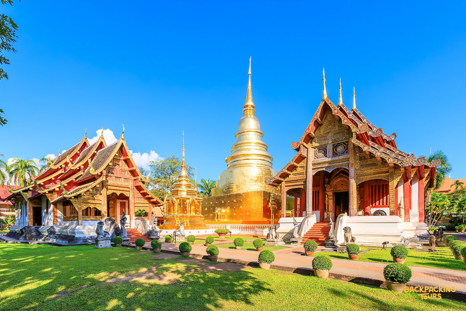 Majestic golden temples and traditional Thai architecture gleam under a clear blue sky in Chiang Mai.