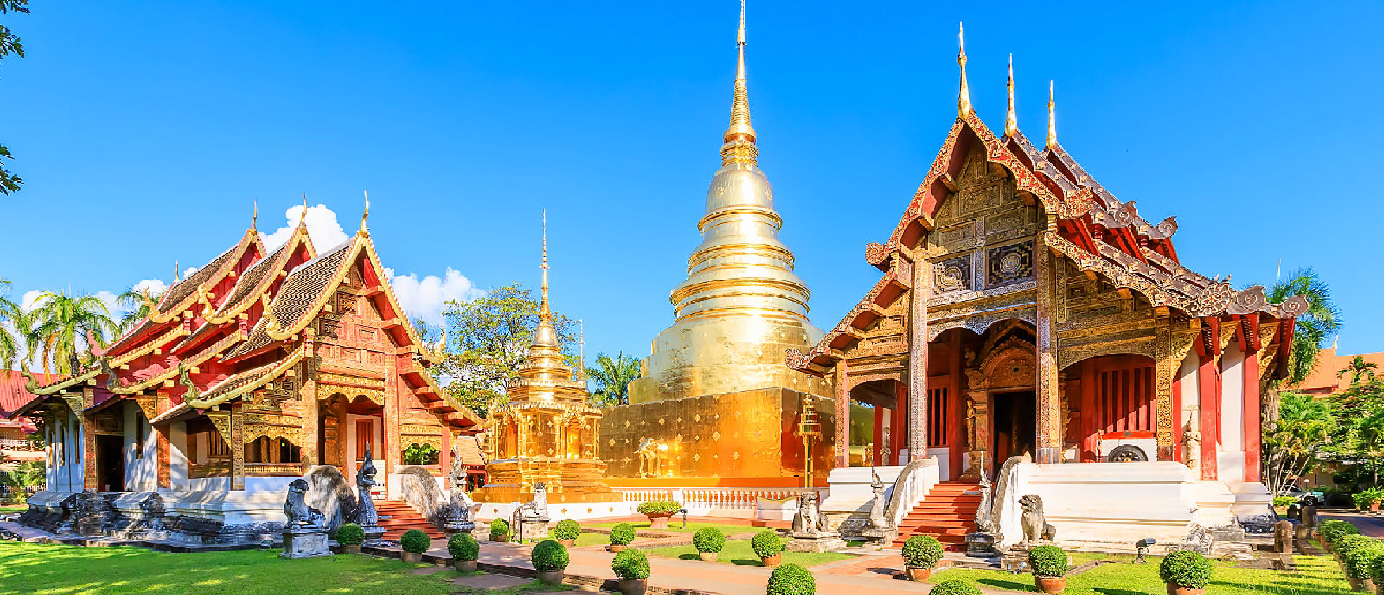 A stunning golden pagoda and ornate temple buildings under a clear blue sky in Chiang Mai.
