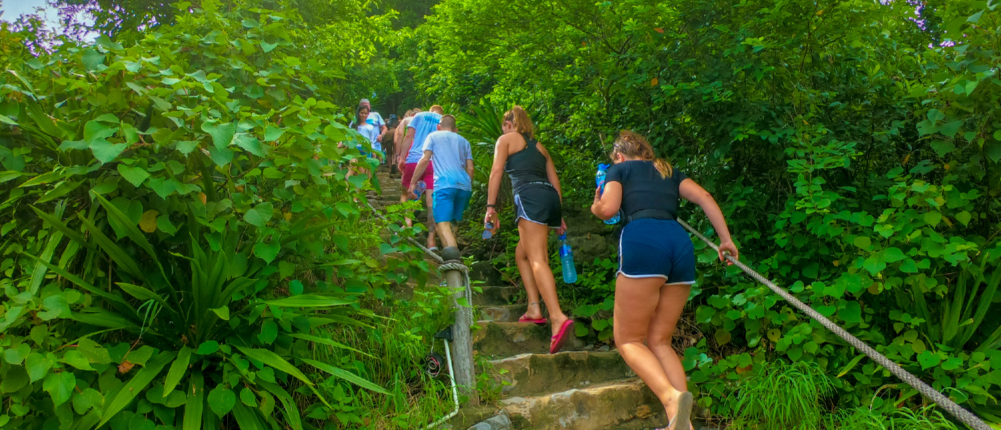 A group of travelers climbs a steep stone staircase through dense green jungle in Tam Coc, Vietnam.