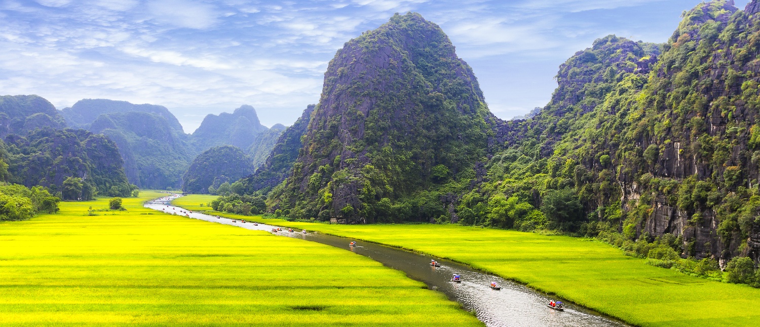 Sampan boats on a river winding through bright green rice fields and towering mountains in Tam Coc.